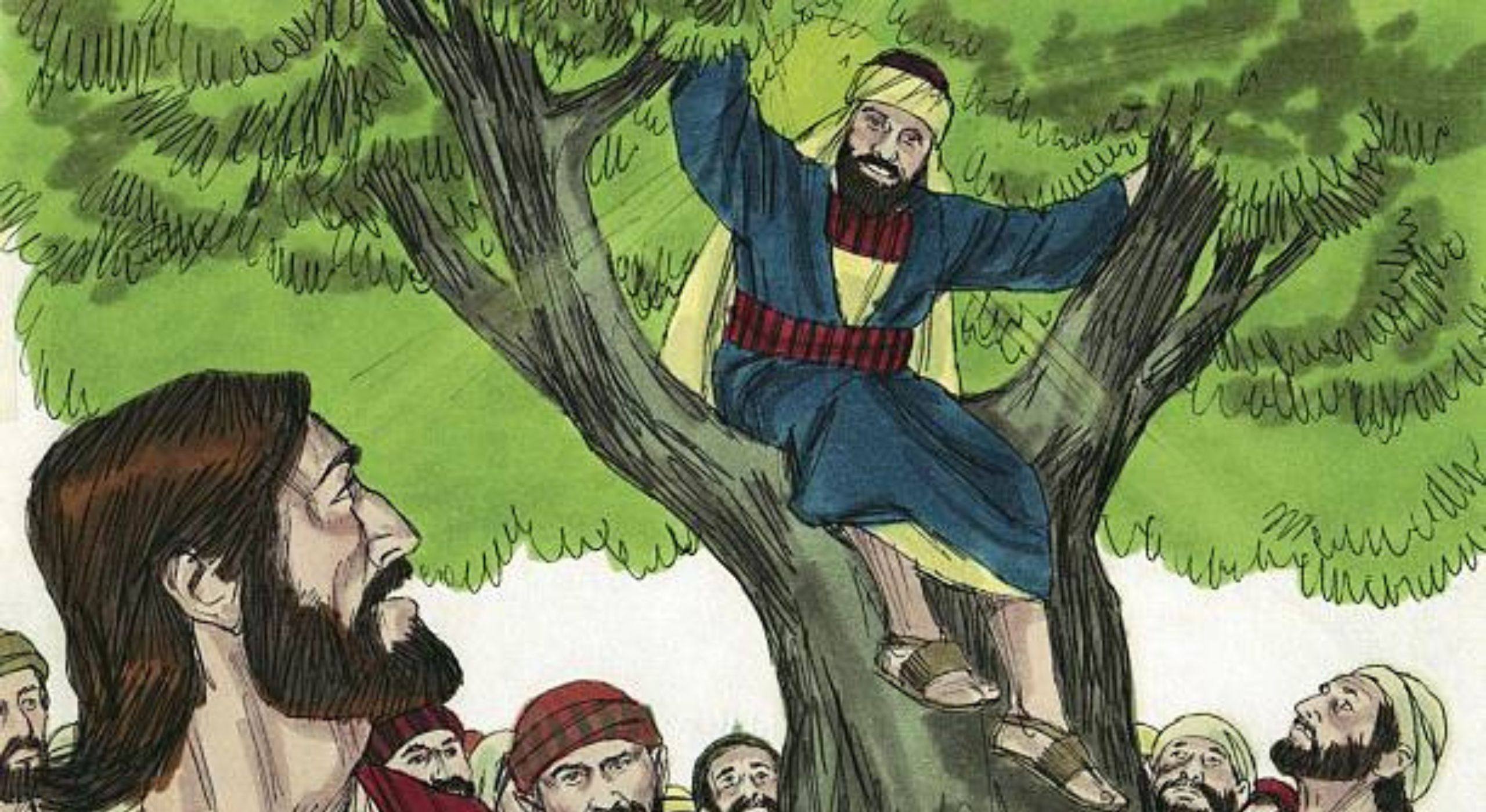 WHAT WERE YOU LOOKING FOR ZACCHAEUS ?
